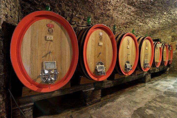 Discover Chianti Classico Wines