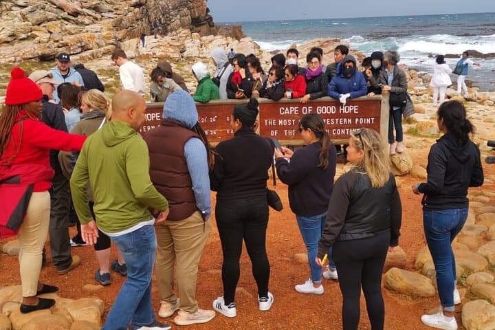 Cape of Good Hope, Boulders Beach Full Day Private Experience