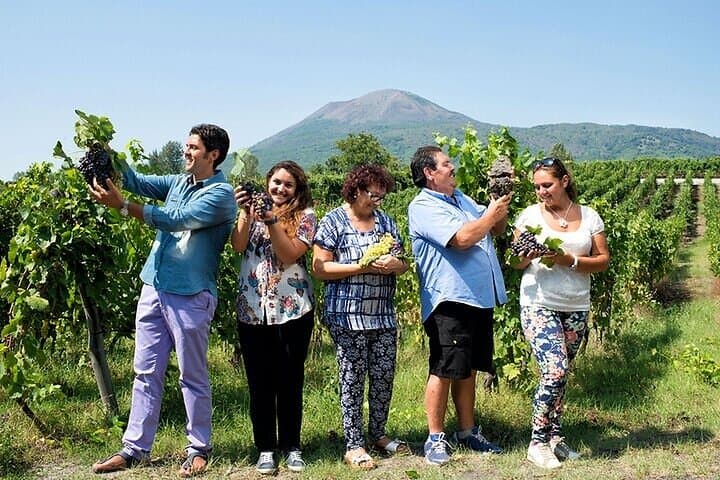 Pompeii and wine tasting on the slopes of Vesuvius from Naples