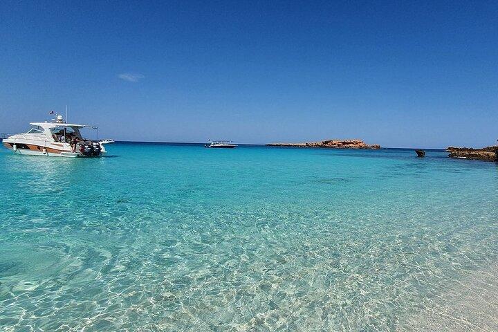 Full Day Dimaniyat Island Excursion