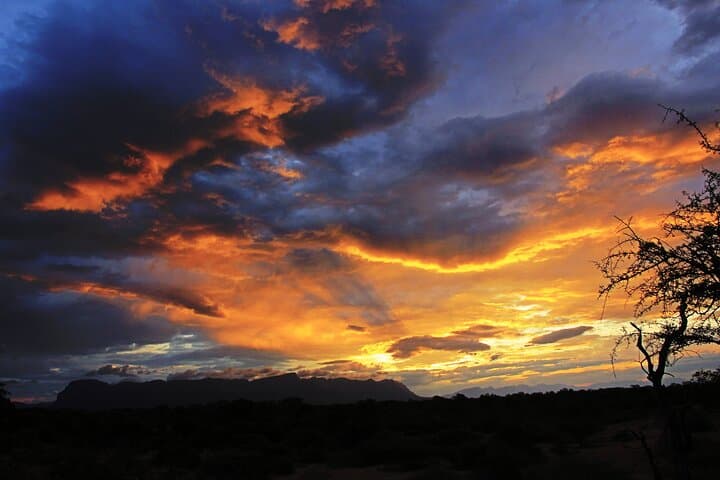 Exclusive Sunset Game Drive Safari near Hoedspruit