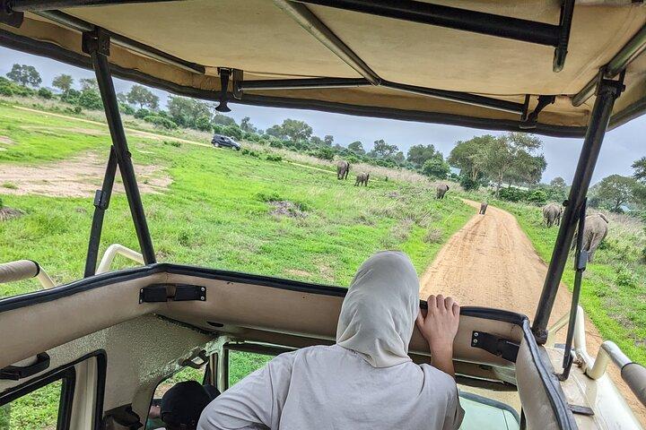 5 Days and 4 Nights Tanzania Big Five Safaris Private Tour