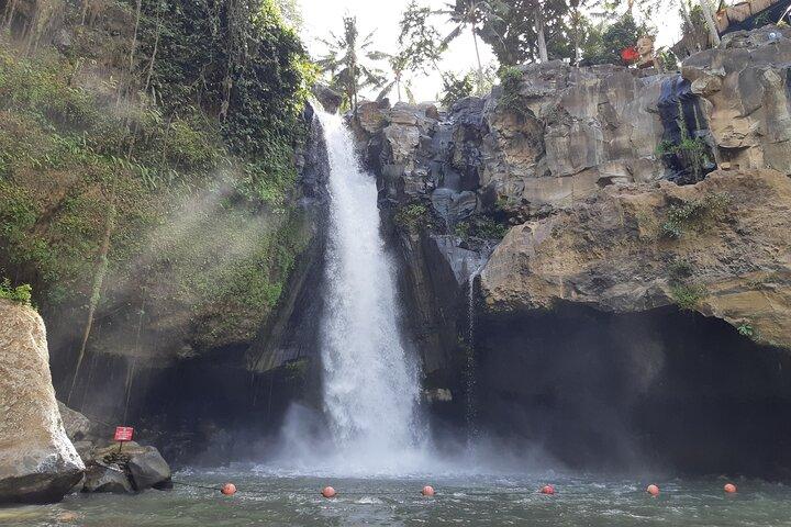 Best Bali Ubud Full Day All-Inclusive Private Tour
