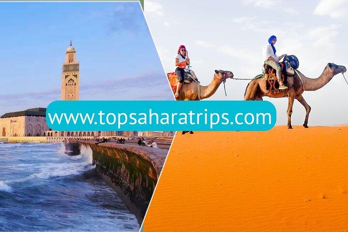 9 Day Tour from Casablanca via Chefchaouen, Fez, Marrakech & Desert