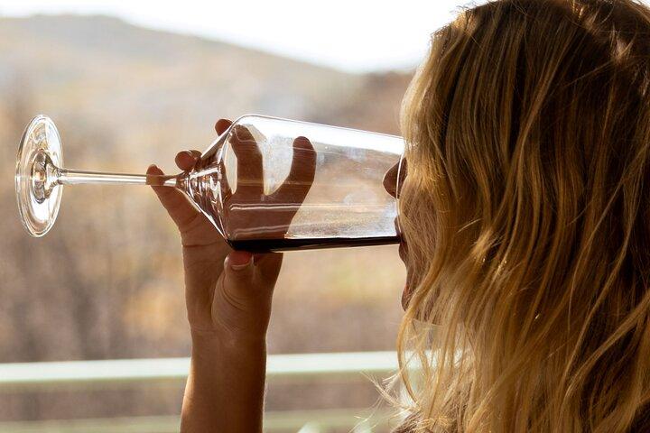 Wine tasting in Rhodes, inside the vineyards with the Producer