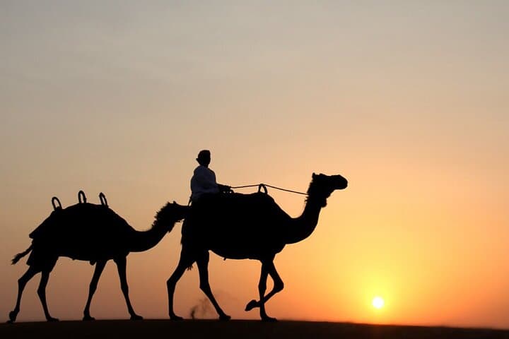Private Desert Safari Tour in Dubai