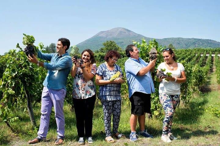 Pompeii and Cantina del Vesuvio Winery Private Tour