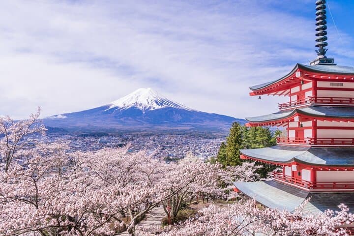 Private Mt. Fuji Custom Tour from Tokyo