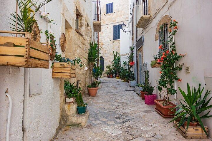 Alberobello, Castellana Caves and Polignano Guided Tour from Bari