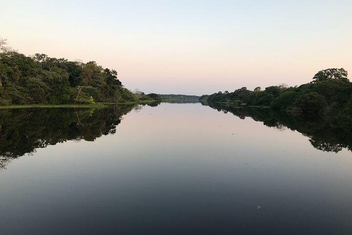 Amazon River Day Tour – The Ultimate Full-Day Adventure