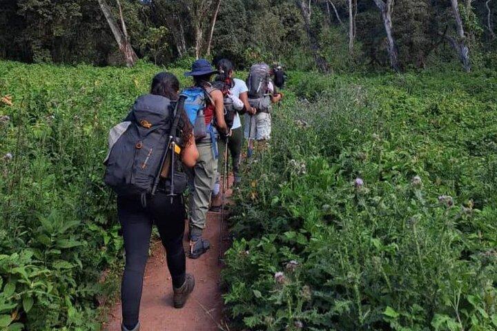 Mount Kilimanjaro via Umbwe Route 6 days Climb