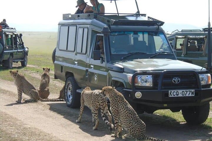 Maasai Mara 3 Day Guided Tour