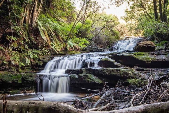 Blue Mountains Luxury Tour from Sydney