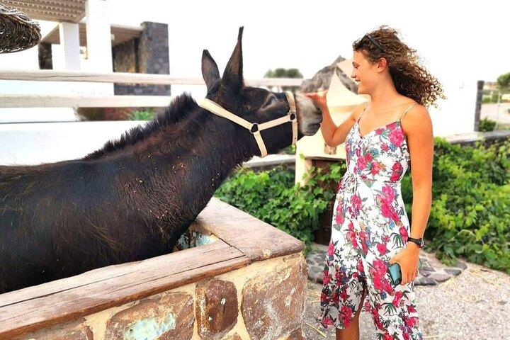 Santorini 4 hours Private Tour : Visit all the hotspots