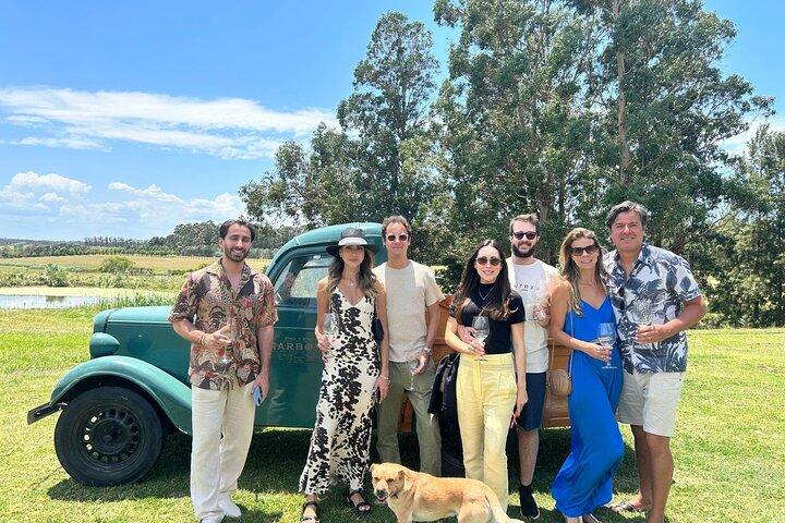 Wine Lovers - Punta Wine Experience