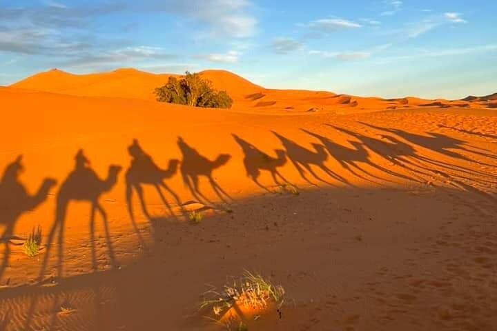 3 Days Group Tour from Marrakech to Merzouga Desert