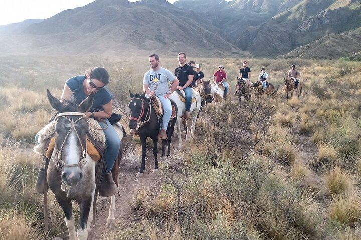 Horseback riding at sunset