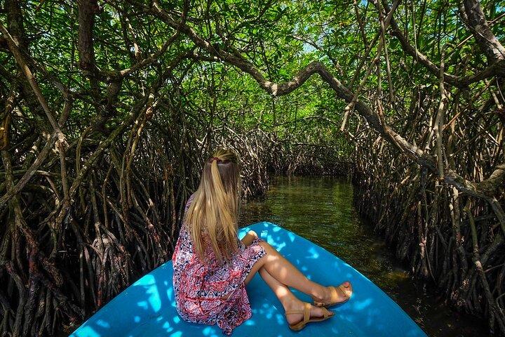 Mangroves of Madu Ganga Boat Tour (Private & All-Inclusive)