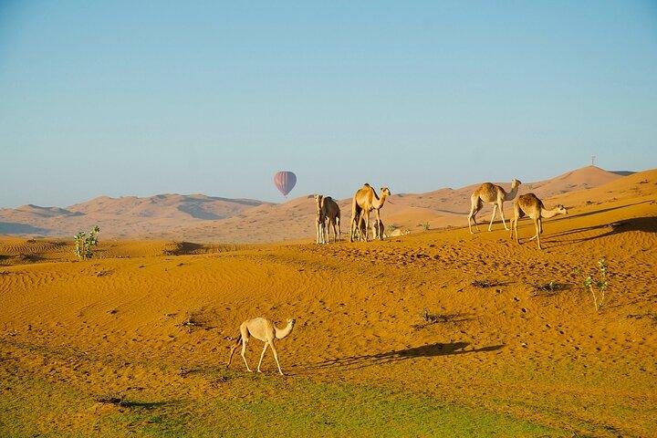 Ras al Khaimah Hot Air Balloon Flight - Dubai