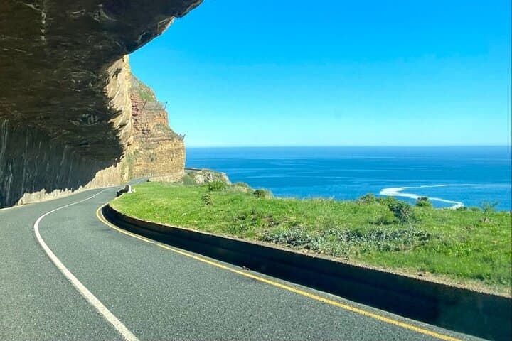 Private: Table Mountain, Cape Point and Penguin Colony