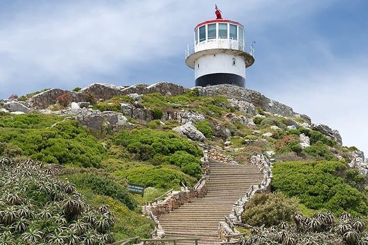 Private: Table Mountain, Cape Point and Penguin Colony