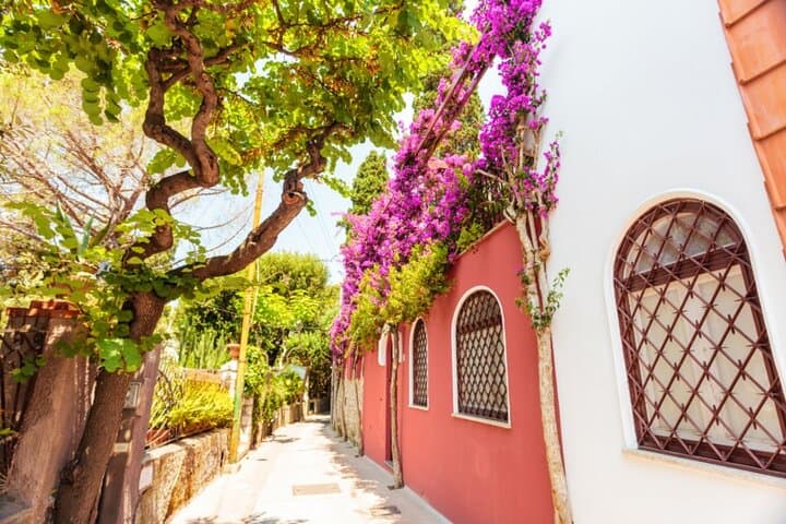 Capri Luxury Private Boat Tour: Day Trip from Rome by Train