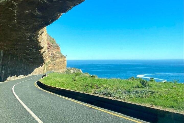 Private Tour: Cape of Good Hope, Cape point and Boulders Beach