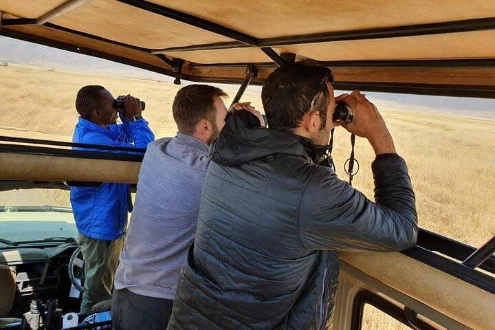 6 Days Luxury Lodge Safari To Lake Manyara, Serengeti, Ngorongoro & Tarangire