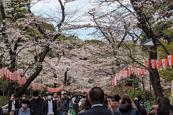 Private Day Tour In Tokyo with a Native English Speaker