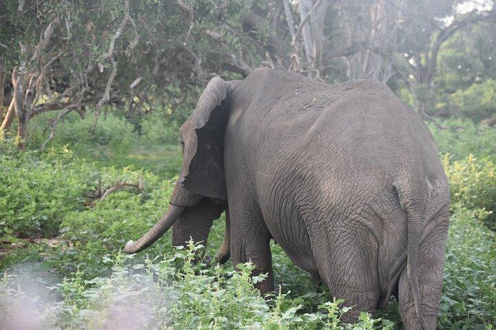 9 Days 8 Nights Safari by Ghalib
