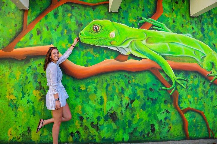 Art, Beach and Culture Island Tour with Kini Kini