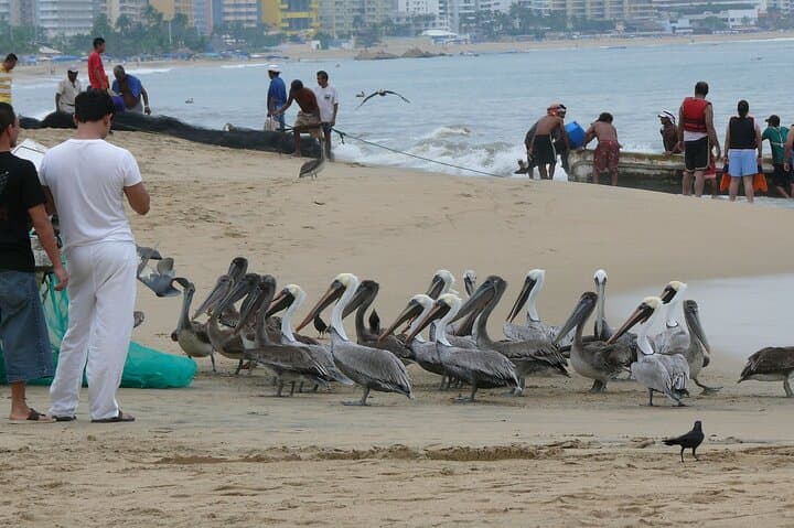Private Direct Transfer From Mexico City to Acapulco
