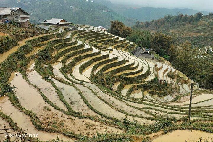 Half-Day Private Muong Hoa Valley Trek and Ethnic Tribes Tour
