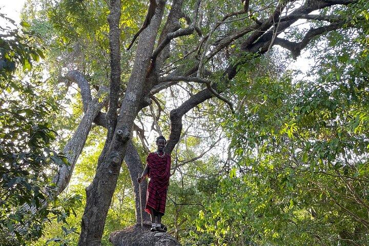 From Selous: Nyerere Bushwalk Activity in Tanzania