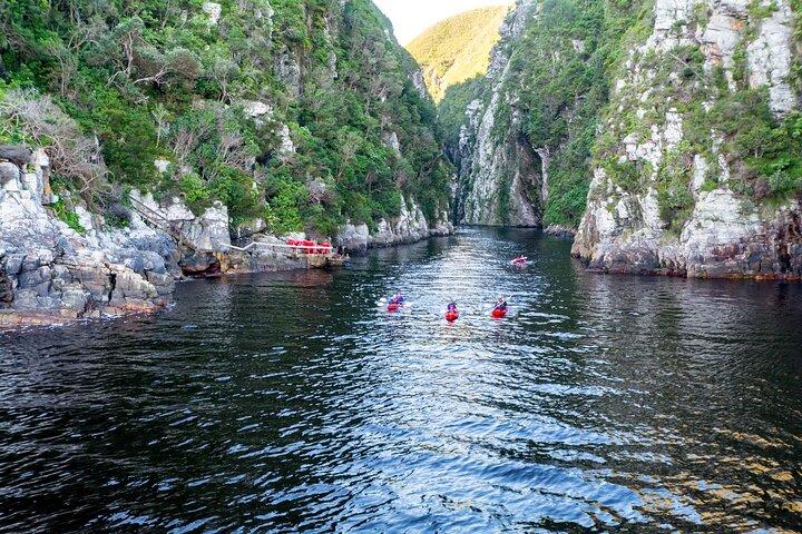 3 Days 2 Nights Garden Route Private Tour from Cape Town