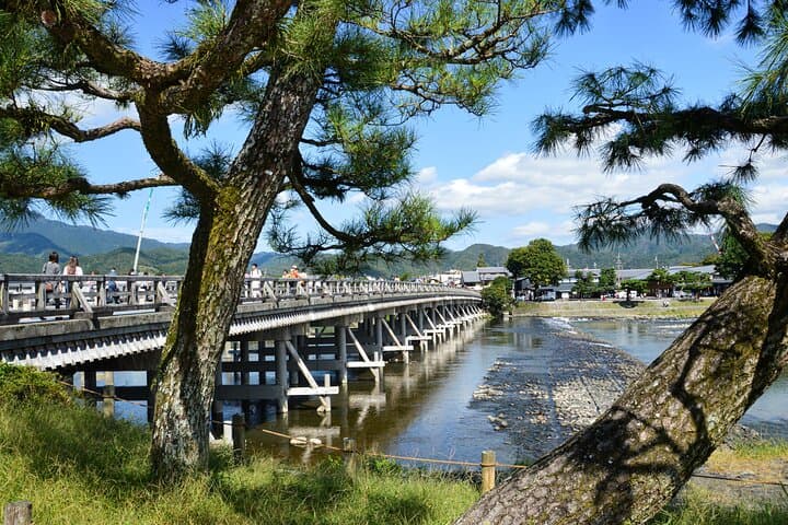 Ultimate Kyoto Arashiyama Tour: Bamboo, Monkeys & Hidden Gardens