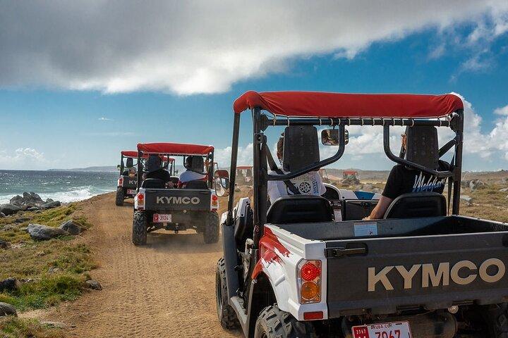 UTV Island Tour around Aruba