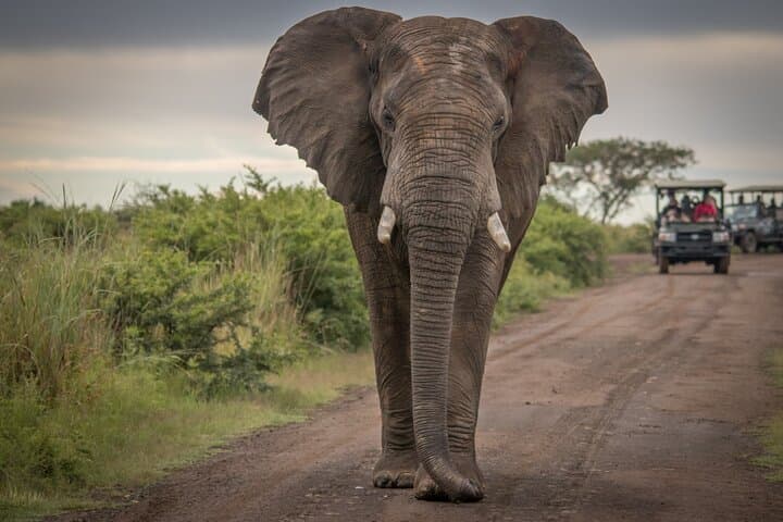 5-Day Garden Route Shared Tour from Cape Town including Addo National Park