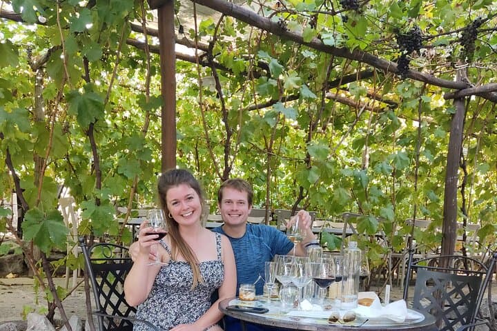 Pompeii, Vesuvius & Wine Tasting Private day Tour