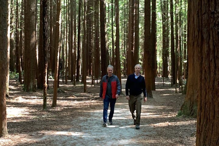 Redwood Forest , Blue Springs & Huka Falls Day Tour from Auckland