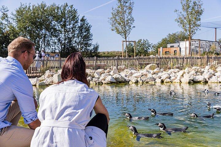 Parrot World Immersive Wildlife Park Entry Ticket next to Paris