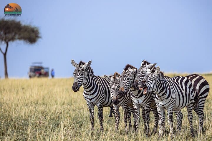 7 Days Kenya Classic Wildlife Safari