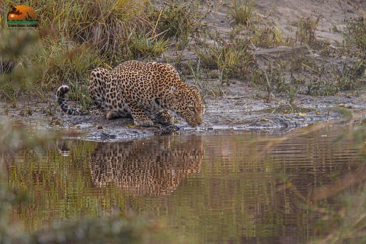 7 Days Kenya Classic Wildlife Safari