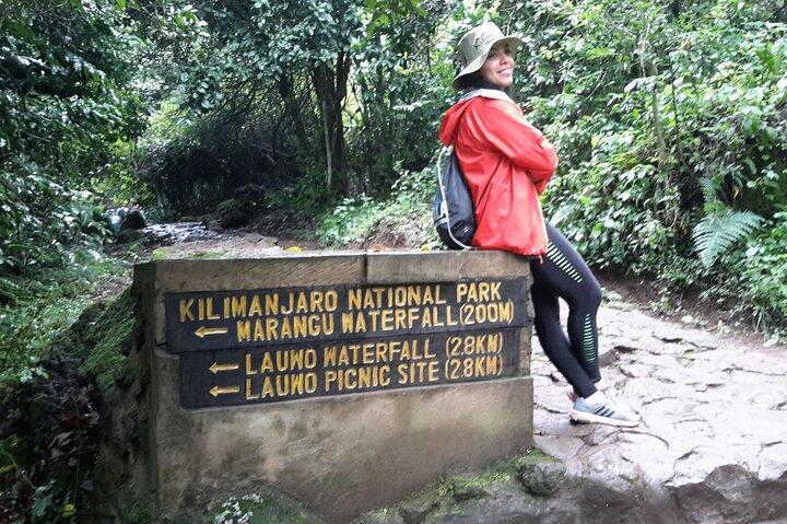 6 Days Kilimanjaro climb - Marangu route