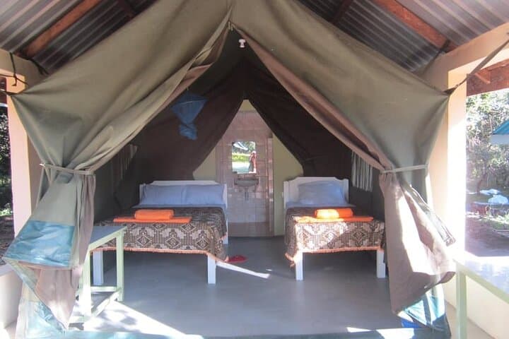 7-Day Small Group Maasai Mara ,Nakuru Lake Naivasha and Amboseli