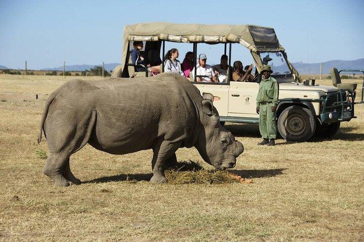 Day Tour to Olpajeta Conservancy from Nairobi With 4*4 Vehicle