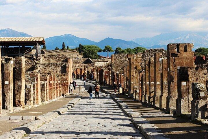 Half Day Herculaneum and Pompeii Tour from Positano