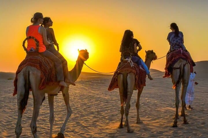 Agadir Camel Ride experience With Barbecue
