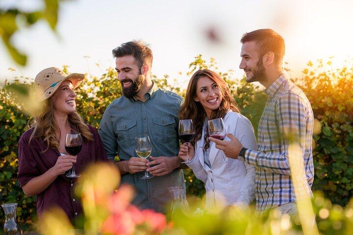 Wine Lovers - Indulge in a Fun Tasting with Light Lunch!