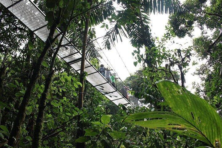 Private Tour Mistico Park Arenal Volcano + Baldi Hot Springs